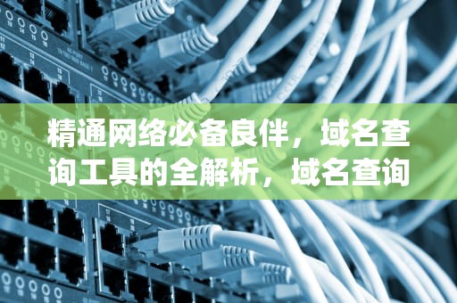 精通网络必备良伴，域名查询工具的全解析，域名查询工具DMitry
