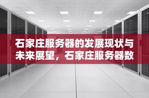 石家庄服务器的发展现状与未来展望，石家庄服务器数据恢复
