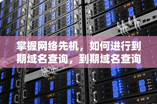 掌握网络先机，如何进行到期域名查询，到期域名查询软件