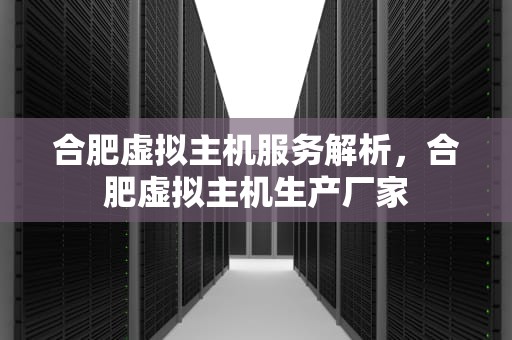 合肥虚拟主机服务解析，合肥虚拟主机生产厂家