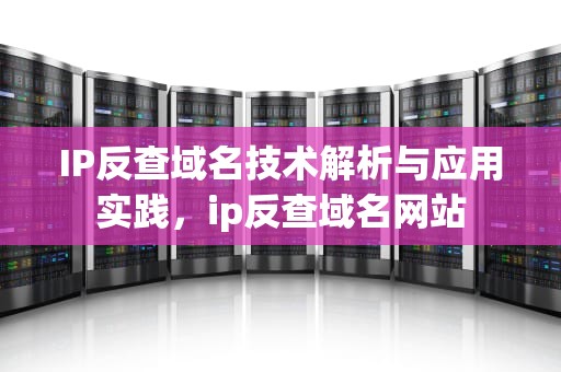 IP反查域名技术解析与应用实践，ip反查域名网站