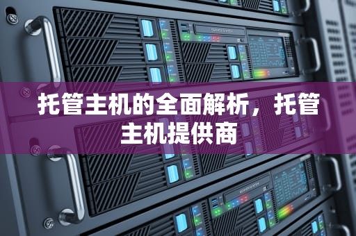 托管主机的全面解析，托管主机提供商