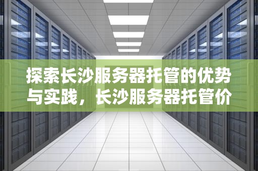 探索长沙服务器托管的优势与实践，长沙服务器托管价格