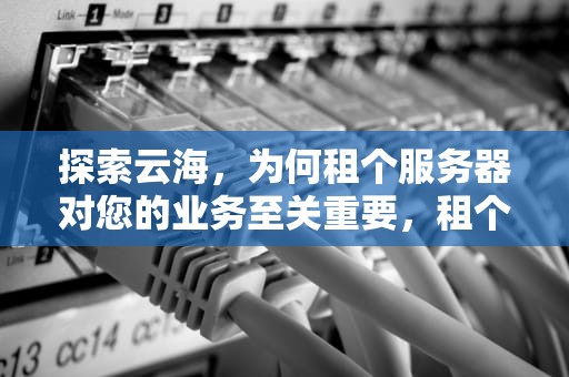 探索云海，为何租个服务器对您的业务至关重要，租个服务器多少钱一个月