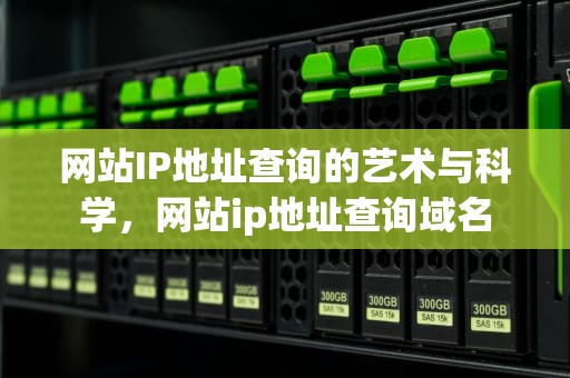 网站IP地址查询的艺术与科学，网站ip地址查询域名