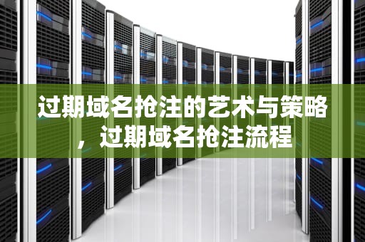 过期域名抢注的艺术与策略，过期域名抢注流程