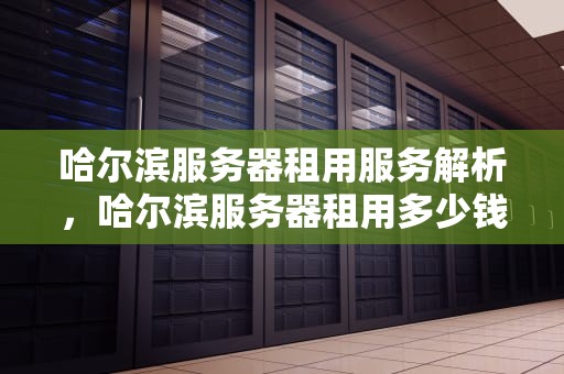 哈尔滨服务器租用服务解析，哈尔滨服务器租用多少钱
