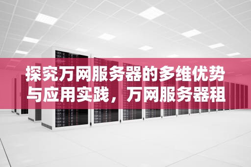 探究万网服务器的多维优势与应用实践，万网服务器租用
