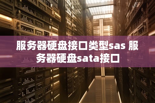 服务器硬盘接口类型sas 服务器硬盘sata接口