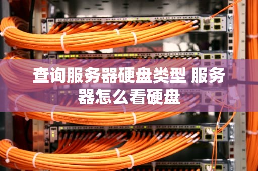 查询服务器硬盘类型 服务器怎么看硬盘