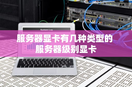 服务器显卡有几种类型的 服务器级别显卡