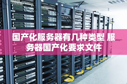 国产化服务器有几种类型 服务器国产化要求文件