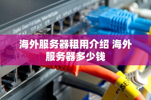 海外服务器租用介绍 海外服务器多少钱