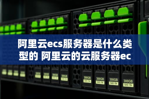 阿里云ecs服务器是什么类型的 阿里云的云服务器ecs产品的应用非常广泛