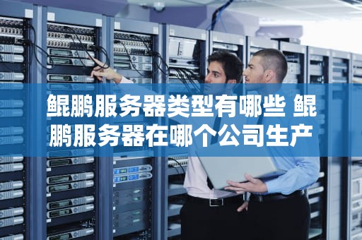 鲲鹏服务器类型有哪些 鲲鹏服务器在哪个公司生产