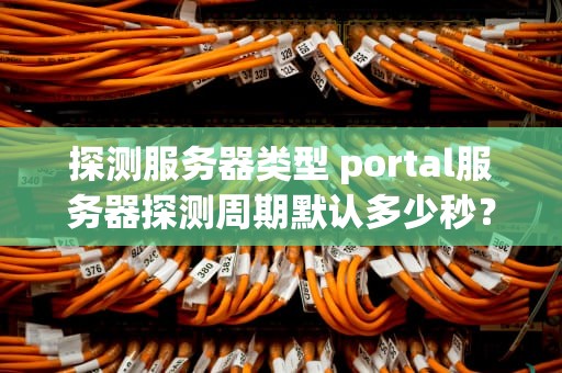 探测服务器类型 portal服务器探测周期默认多少秒？