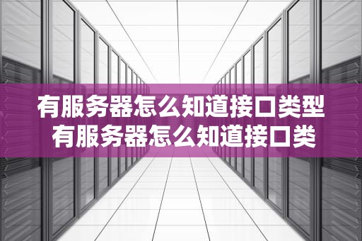 有服务器怎么知道接口类型 有服务器怎么知道接口类型号