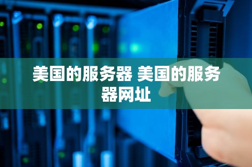 美国的服务器 美国的服务器网址