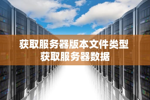 获取服务器版本文件类型 获取服务器数据
