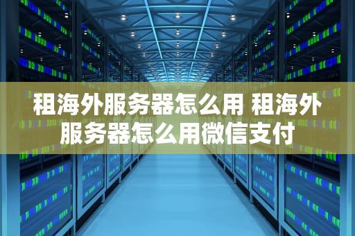 租海外服务器怎么用 租海外服务器怎么用微信支付