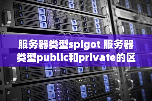 服务器类型spigot 服务器类型public和private的区别