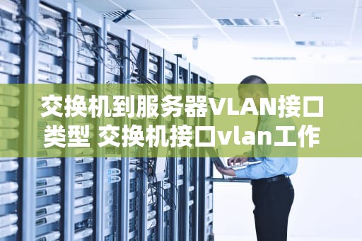 交换机到服务器VLAN接口类型 交换机接口vlan工作模式的区别