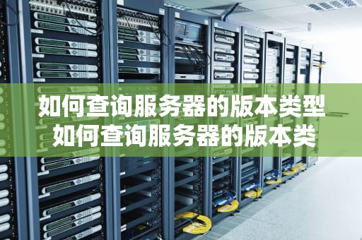 如何查询服务器的版本类型 如何查询服务器的版本类型号