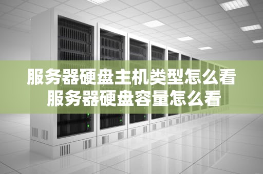 服务器硬盘主机类型怎么看 服务器硬盘容量怎么看