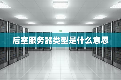 后室服务器类型是什么意思