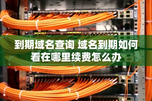 到期域名查询 域名到期如何看在哪里续费怎么办