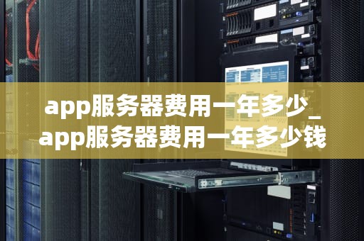 app服务器费用一年多少_app服务器费用一年多少钱正常_App服务器费用一年多少？