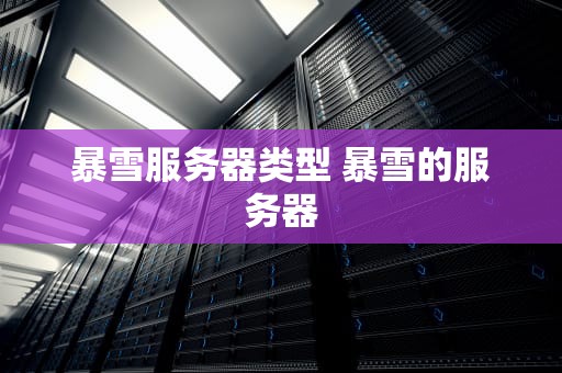 暴雪服务器类型 暴雪的服务器