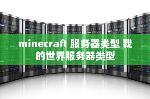 minecraft 服务器类型 我的世界服务器类型