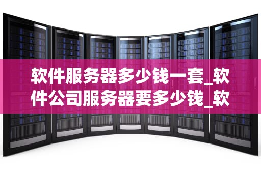 软件服务器多少钱一套_软件公司服务器要多少钱_软件服务器的价格及其影响因素