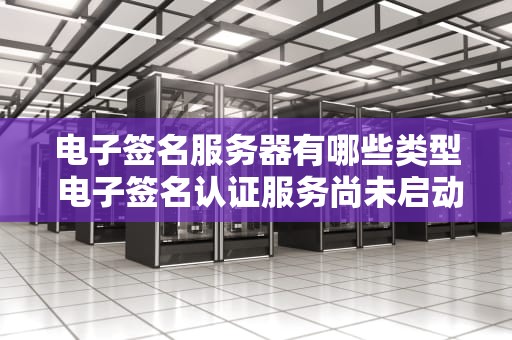 电子签名服务器有哪些类型 电子签名认证服务尚未启动