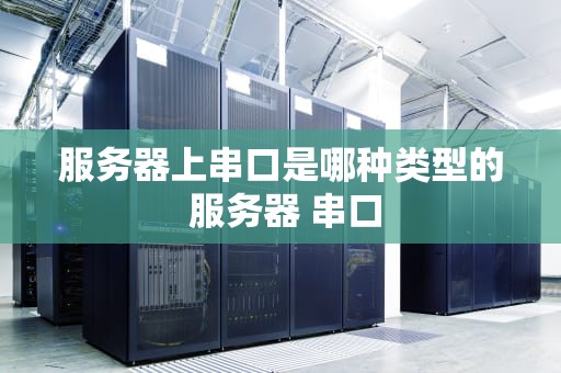 服务器上串口是哪种类型的 服务器 串口