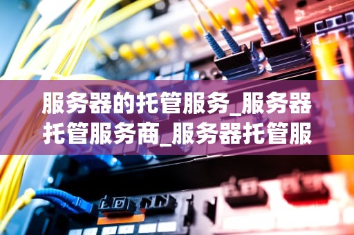 服务器的托管服务_服务器托管服务商_服务器托管服务：关键要素与优势