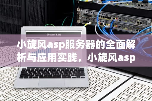 小旋风asp服务器的全面解析与应用实践，小旋风asp服务器连接失败