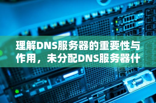 理解DNS服务器的重要性与作用，未分配DNS服务器什么意思