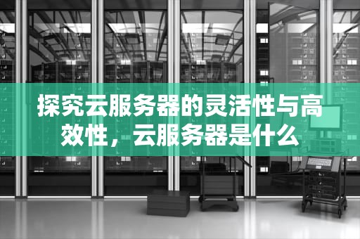 探究云服务器的灵活性与高效性，云服务器是什么