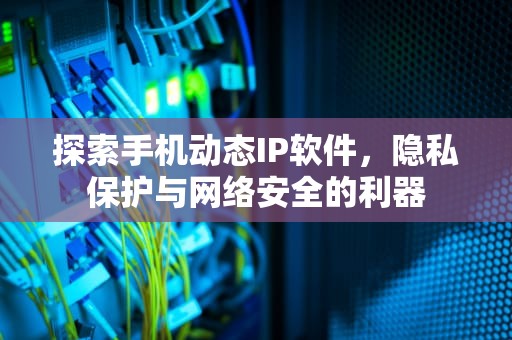 探索手机动态IP软件，隐私保护与网络安全的利器