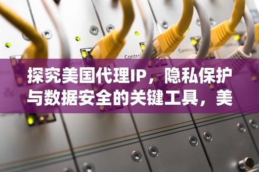 探究美国代理IP，隐私保护与数据安全的关键工具，美国代理ip地址