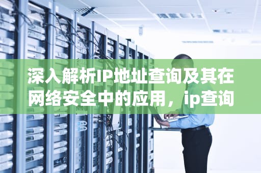 深入解析IP地址查询及其在网络安全中的应用，ip查询详细地址带地图