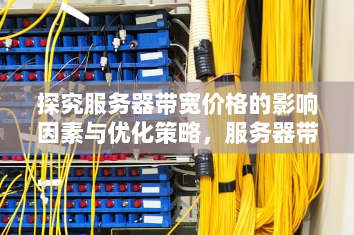 探究服务器带宽价格的影响因素与优化策略，服务器带宽价格为什么这么贵