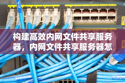 构建高效内网文件共享服务器，内网文件共享服务器怎么设置