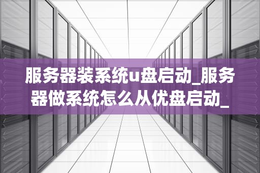 服务器装系统u盘启动_服务器做系统怎么从优盘启动_服务器装系统U盘启动的详细指南