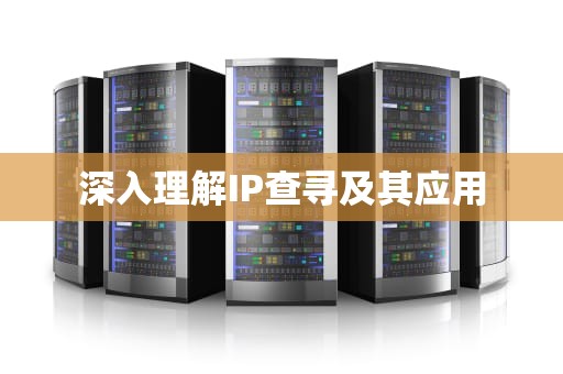 深入理解IP查寻及其应用
