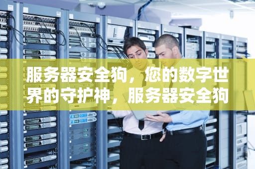 服务器安全狗，您的数字世界的守护神，服务器安全狗防ddos