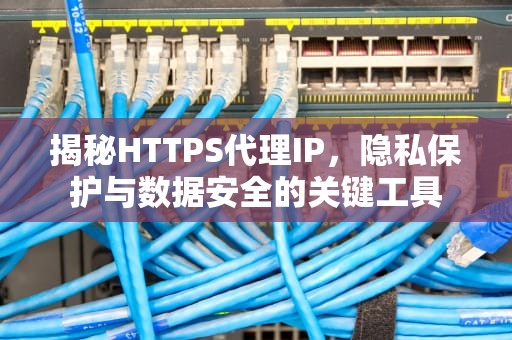 揭秘HTTPS代理IP，隐私保护与数据安全的关键工具