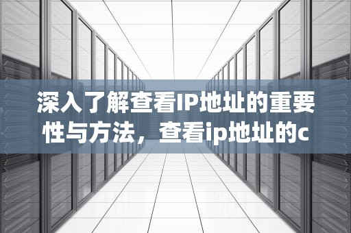 深入了解查看IP地址的重要性与方法，查看ip地址的cmd命令
